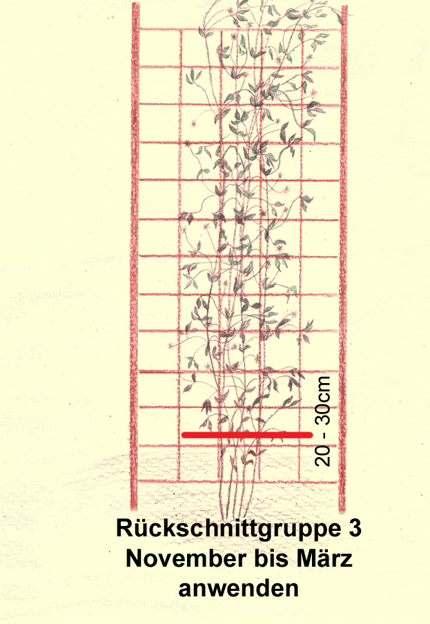 rueckschnitt3-2.png rueckschnitt3-2.png