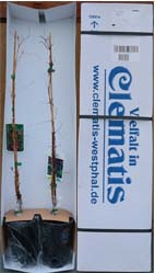 verpackung2.jpg verpackung2.jpg